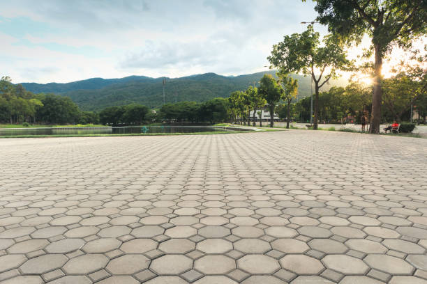 Best Residential Driveway Paver Services  in Red Oaks Mill, NY